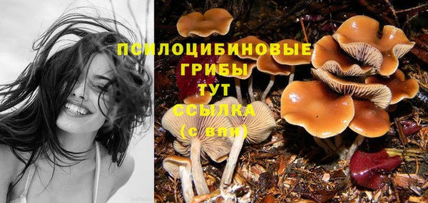 винт Горно-Алтайск