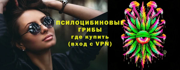винт Горно-Алтайск