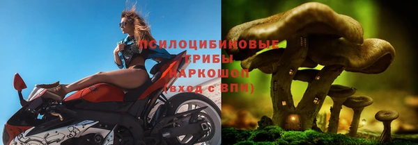 ешки Вязьма