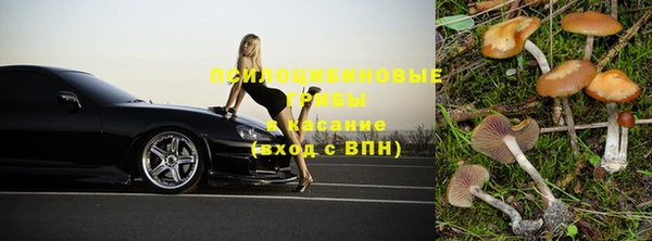 ешки Вязьма