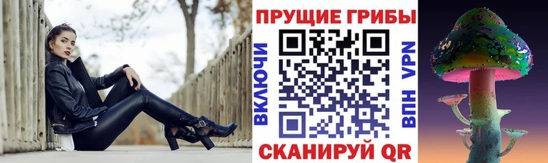 Псилоцибиновые грибы Psilocybe  Иннополис 